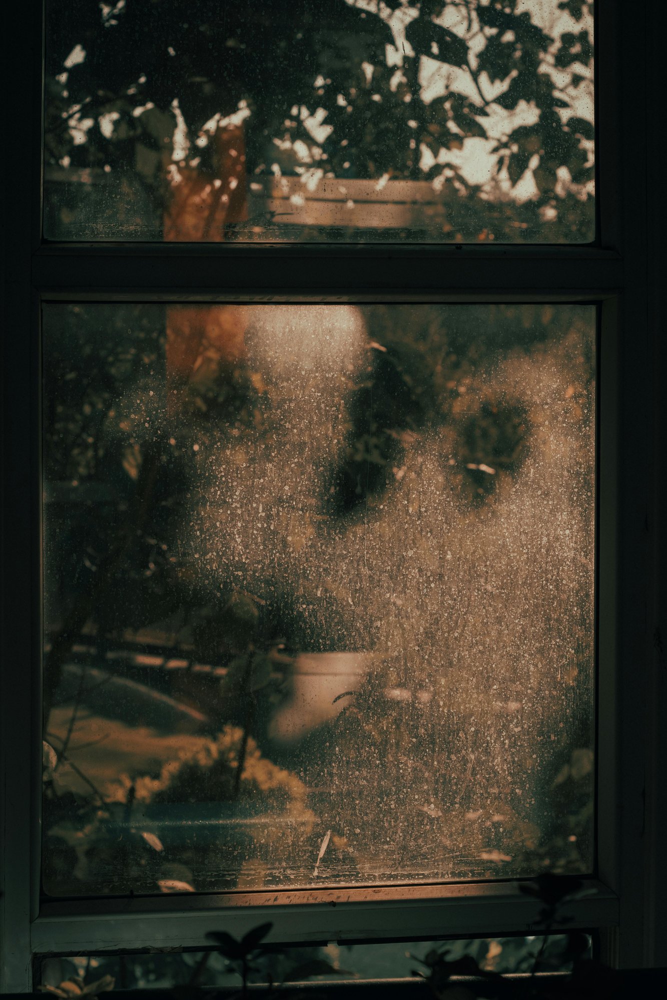 pexels-leventsimsek-4852001