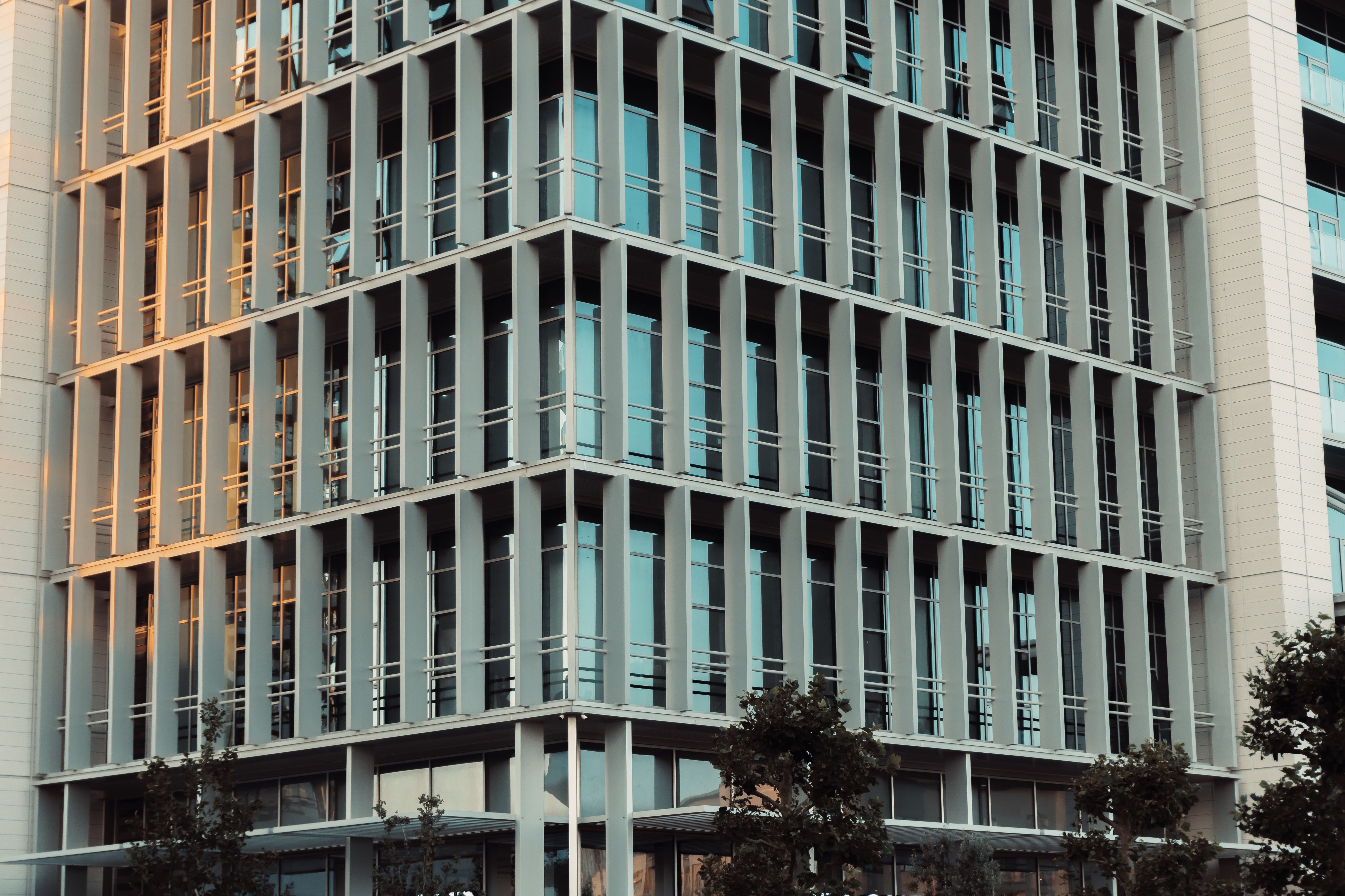 pexels-zulfugarkarimov-33719828